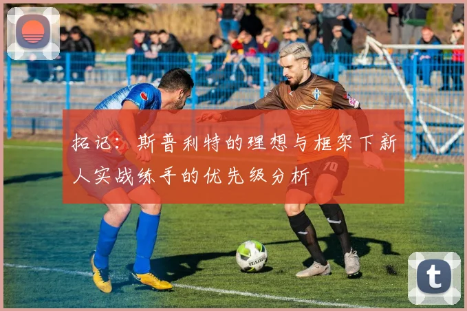 拓记：斯普利特的理想与框架下新人实战练手的优先级分析